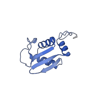 17330_8p09_M_v1-0
48S late-stage initiation complex with non methylated mRNA