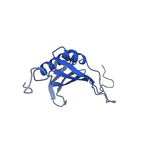 17330_8p09_Q_v1-0
48S late-stage initiation complex with non methylated mRNA