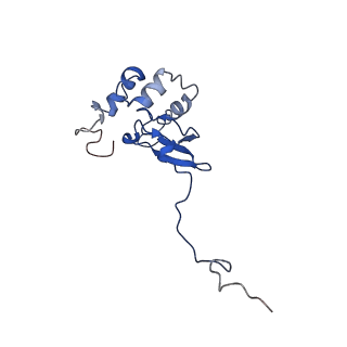 17330_8p09_R_v1-0
48S late-stage initiation complex with non methylated mRNA