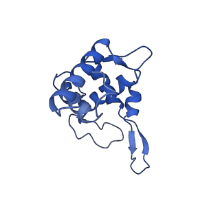 17330_8p09_V_v1-0
48S late-stage initiation complex with non methylated mRNA