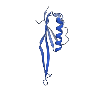 17330_8p09_W_v1-0
48S late-stage initiation complex with non methylated mRNA