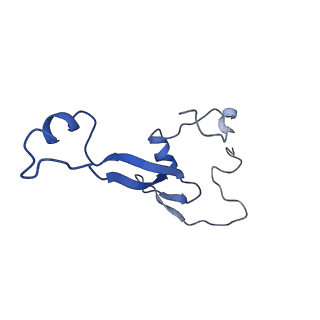 17330_8p09_b_v1-0
48S late-stage initiation complex with non methylated mRNA