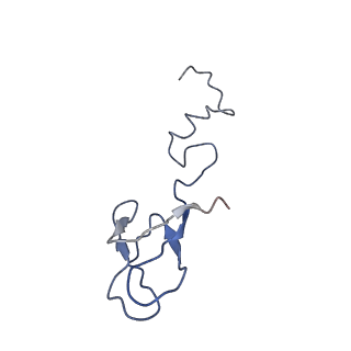 17330_8p09_c_v1-0
48S late-stage initiation complex with non methylated mRNA