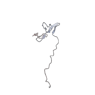 17330_8p09_f_v1-0
48S late-stage initiation complex with non methylated mRNA