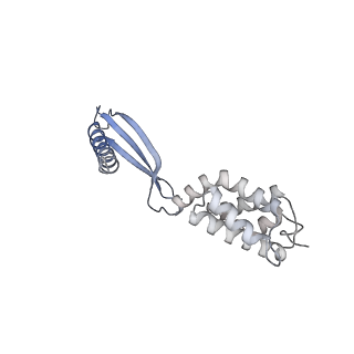 17340_8p0w_A_v1-0
Structure of the human Commander complex COMMD ring