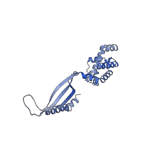 17340_8p0w_B_v1-0
Structure of the human Commander complex COMMD ring