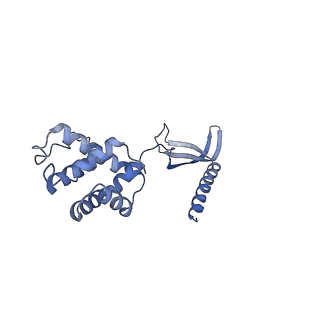 17340_8p0w_C_v1-0
Structure of the human Commander complex COMMD ring