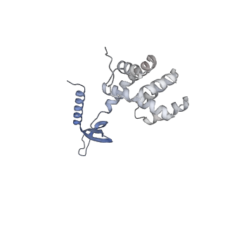 17340_8p0w_G_v1-0
Structure of the human Commander complex COMMD ring