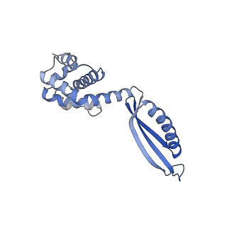 17340_8p0w_H_v1-0
Structure of the human Commander complex COMMD ring