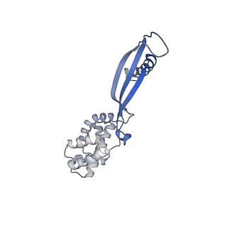 17340_8p0w_I_v1-0
Structure of the human Commander complex COMMD ring