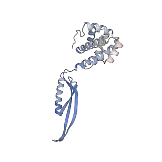 17340_8p0w_J_v1-0
Structure of the human Commander complex COMMD ring