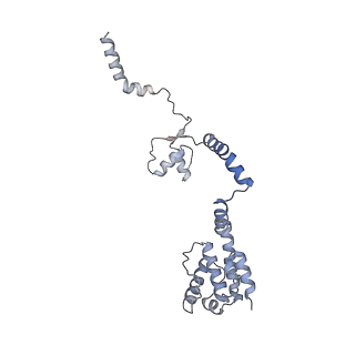 17340_8p0w_K_v1-0
Structure of the human Commander complex COMMD ring