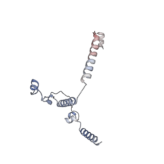 17340_8p0w_L_v1-0
Structure of the human Commander complex COMMD ring