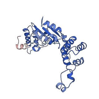 20226_6p07_A_v1-5
Spastin hexamer in complex with substrate