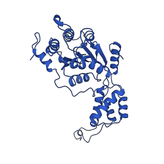 20226_6p07_B_v1-5
Spastin hexamer in complex with substrate