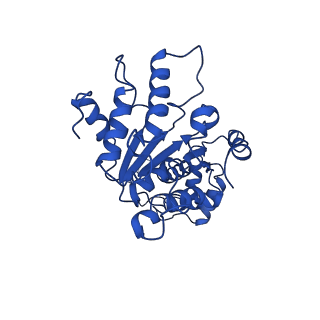 20226_6p07_C_v1-5
Spastin hexamer in complex with substrate