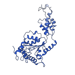 20226_6p07_E_v1-5
Spastin hexamer in complex with substrate