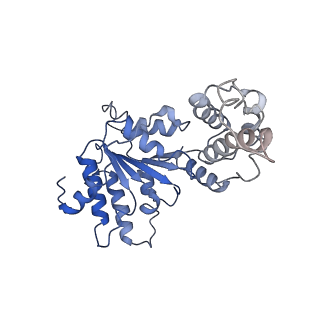 20226_6p07_F_v1-4
Spastin hexamer in complex with substrate