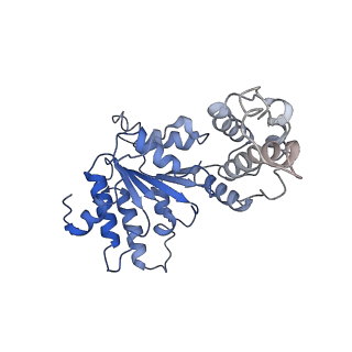 20226_6p07_F_v1-5
Spastin hexamer in complex with substrate