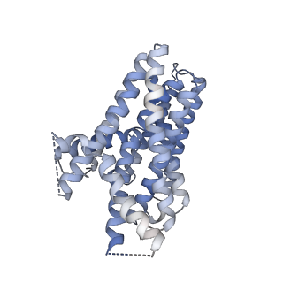 13157_7p16_A_v1-0
Structure of caspase-3 cleaved rXKR9 in complex with a sybody at 4.3A