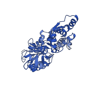 13158_7p1g_B_v1-1
Structure of the P. aeruginosa ExoY-F-actin complex