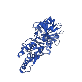13158_7p1g_C_v1-1
Structure of the P. aeruginosa ExoY-F-actin complex