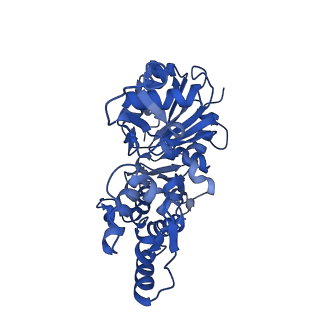 13158_7p1g_E_v1-1
Structure of the P. aeruginosa ExoY-F-actin complex