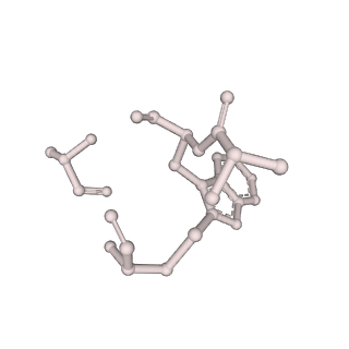 13158_7p1g_J_v1-1
Structure of the P. aeruginosa ExoY-F-actin complex