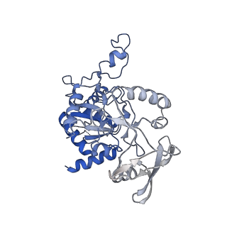 13158_7p1g_K_v1-1
Structure of the P. aeruginosa ExoY-F-actin complex