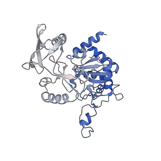 13158_7p1g_L_v1-1
Structure of the P. aeruginosa ExoY-F-actin complex