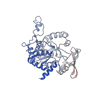 13158_7p1g_M_v1-1
Structure of the P. aeruginosa ExoY-F-actin complex