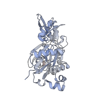 13159_7p1h_B_v1-1
Structure of the V. vulnificus ExoY-G-actin-profilin complex