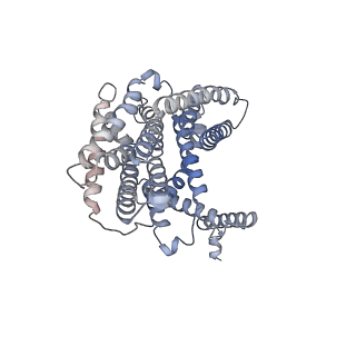 13161_7p1i_A_v1-2
Cryo EM structure of bison NHA2 in detergent and N-terminal extension helix