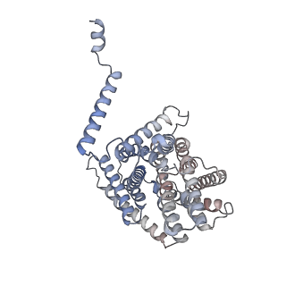13161_7p1i_B_v1-2
Cryo EM structure of bison NHA2 in detergent and N-terminal extension helix