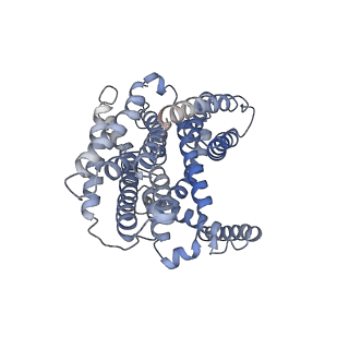 13162_7p1j_A_v1-2
Cryo EM structure of bison NHA2 in detergent structure