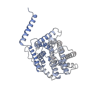 13162_7p1j_B_v1-2
Cryo EM structure of bison NHA2 in detergent structure