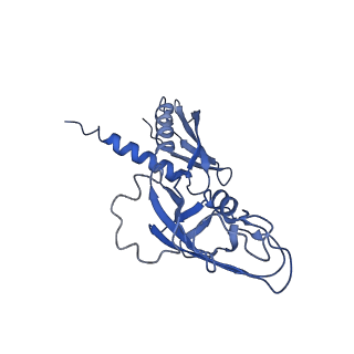 20230_6p1k_G_v1-0
Cryo-EM structure of Escherichia coli sigma70 bound RNAP polymerase holoenzyme