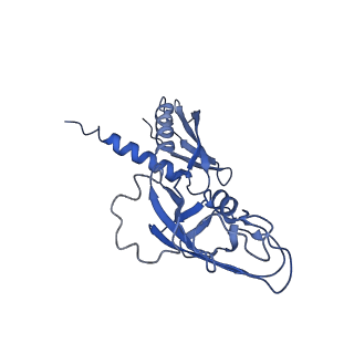 20230_6p1k_G_v1-1
Cryo-EM structure of Escherichia coli sigma70 bound RNAP polymerase holoenzyme