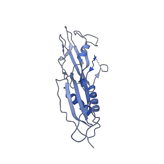 20230_6p1k_H_v1-1
Cryo-EM structure of Escherichia coli sigma70 bound RNAP polymerase holoenzyme