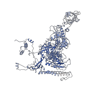 20230_6p1k_I_v1-0
Cryo-EM structure of Escherichia coli sigma70 bound RNAP polymerase holoenzyme