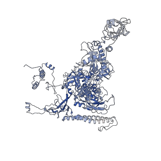 20230_6p1k_I_v1-1
Cryo-EM structure of Escherichia coli sigma70 bound RNAP polymerase holoenzyme