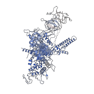 20230_6p1k_J_v1-0
Cryo-EM structure of Escherichia coli sigma70 bound RNAP polymerase holoenzyme