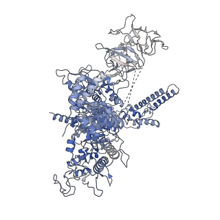 20230_6p1k_J_v1-1
Cryo-EM structure of Escherichia coli sigma70 bound RNAP polymerase holoenzyme