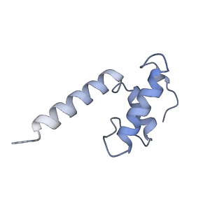 20230_6p1k_K_v1-0
Cryo-EM structure of Escherichia coli sigma70 bound RNAP polymerase holoenzyme