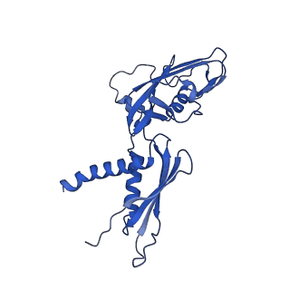 20233_6p18_A_v1-3
Q21 transcription antitermination complex: loading complex