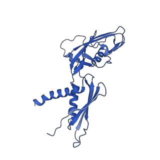 20233_6p18_A_v1-4
Q21 transcription antitermination complex: loading complex