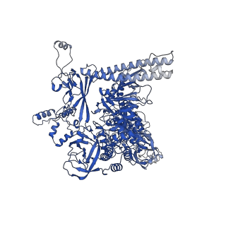 20233_6p18_C_v1-3
Q21 transcription antitermination complex: loading complex