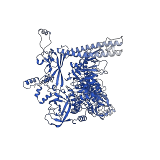 20233_6p18_C_v1-4
Q21 transcription antitermination complex: loading complex