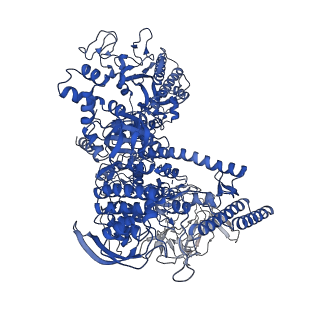 20233_6p18_D_v1-3
Q21 transcription antitermination complex: loading complex