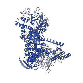 20233_6p18_D_v1-4
Q21 transcription antitermination complex: loading complex